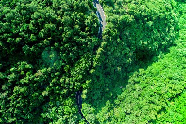 中交路建武当山景区路面大修项目完工